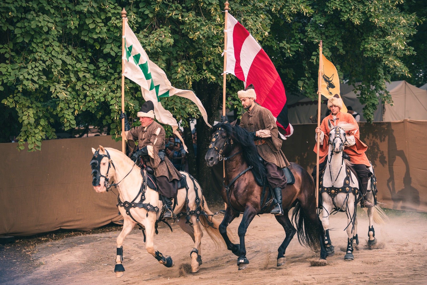 _MG_4966_Web
