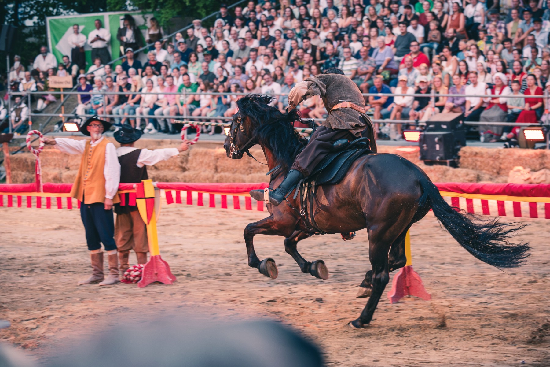 _MG_4988_Web